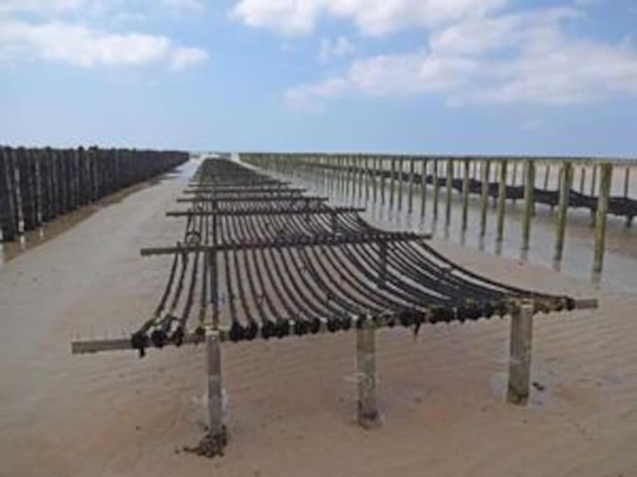 Maison Bord De Mer Individuel Gouville-sur-Mer エクステリア 写真