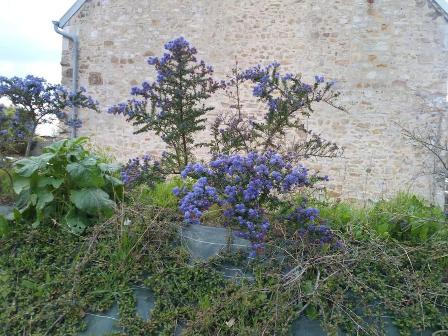 Maison Bord De Mer Individuel Gouville-sur-Mer エクステリア 写真